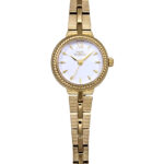 T6937GW　ﾎﾜｲﾄ/ｺﾞｰﾙﾄﾞﾍﾞﾙﾄ